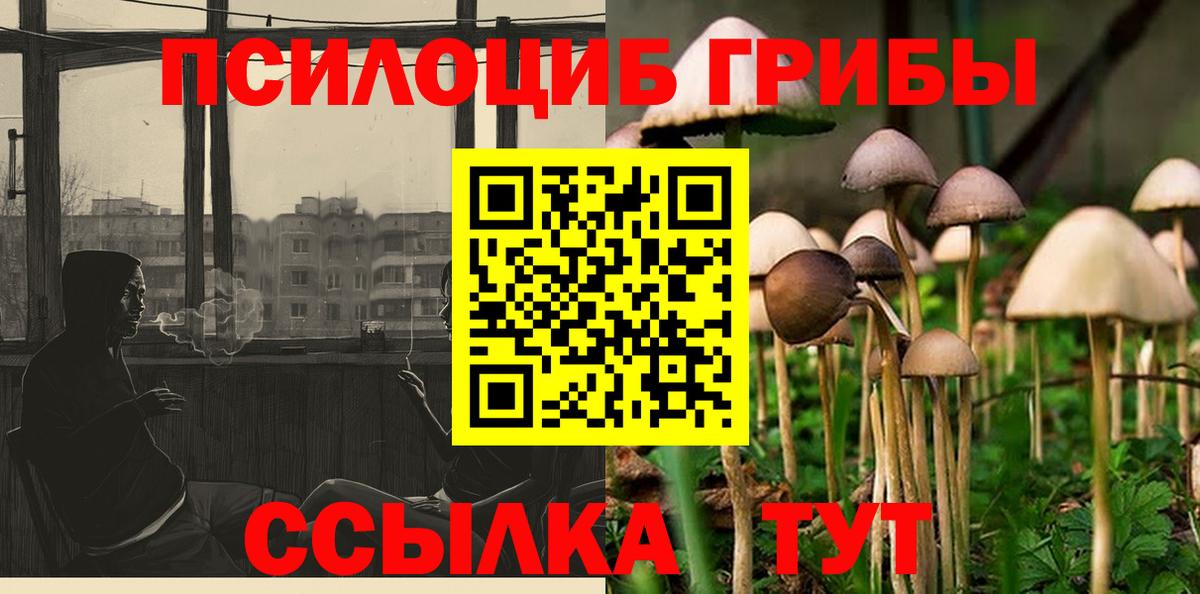 Галлюциногенные грибы мухоморы  Галлюциногенные грибы MAGIC MUSHROOMS  Вятские Поляны  Вход с VPN 